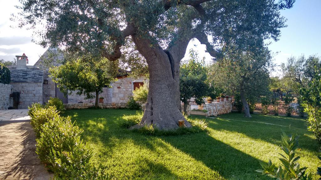 לינה וארוחת בוקר קסטלאנה גרוטה Il Giardino Degli Ulivi מראה חיצוני תמונה